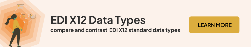 EDI X12 data types