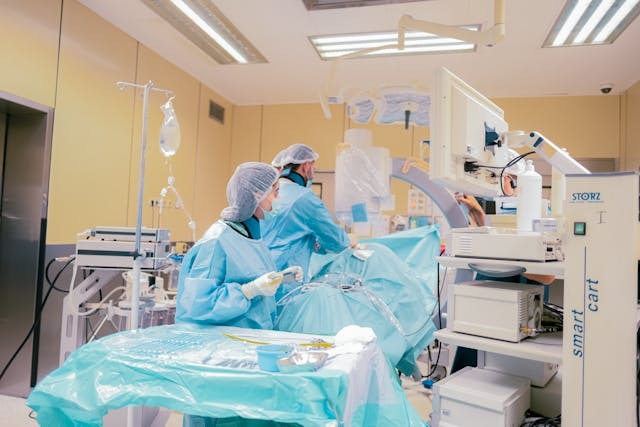 AS4 in Public Sector & Healthcare: eDelivery Use Cases