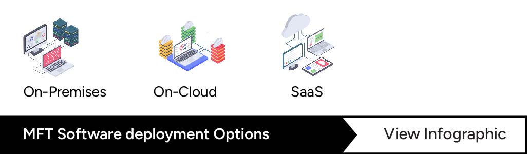 MFT Software Development Options