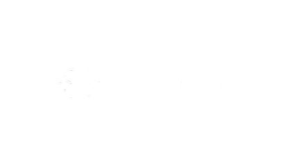 Nogin